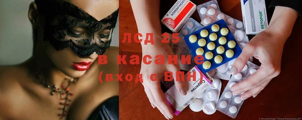 ГАЛЛЮЦИНОГЕННЫЕ ГРИБЫ Белая Холуница