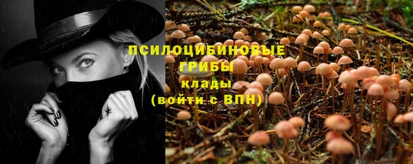 прущие крисы Гусь-Хрустальный
