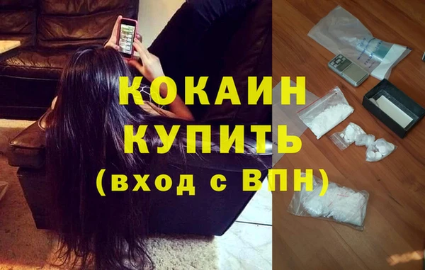 сатива Гусиноозёрск
