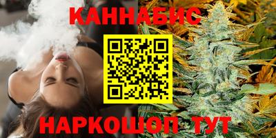 МДПВ Гусев