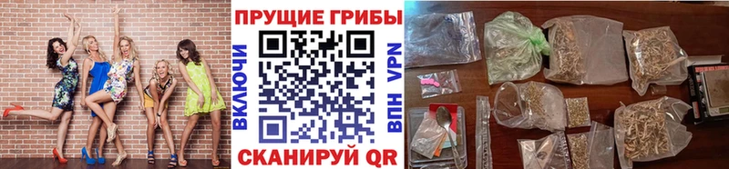 Псилоцибиновые грибы MAGIC MUSHROOMS  Ефремов 