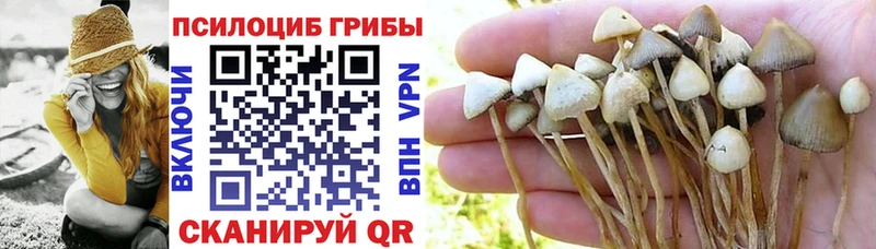 Галлюциногенные грибы Magic Shrooms Ефремов