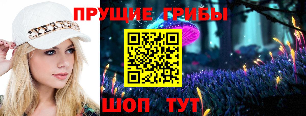 Псилоцибиновые грибы Psilocybine cubensis  Вход с VPN  Галлюциногенные грибы Psilocybe  Ефремов 