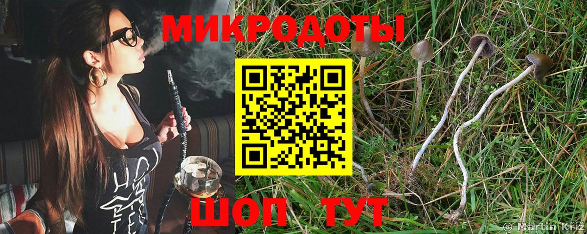 Галлюциногенные грибы GOLDEN TEACHER Ефремов